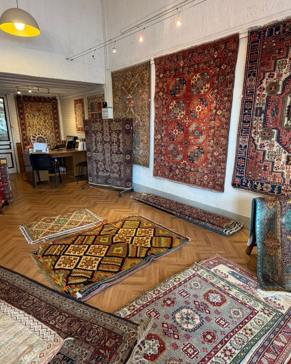 Vue du showroom : tapis au mur et au sol sur parquet